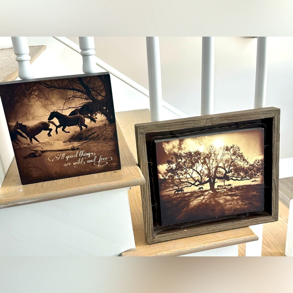 2 Beautiful David Stoecklein Horse Photos!